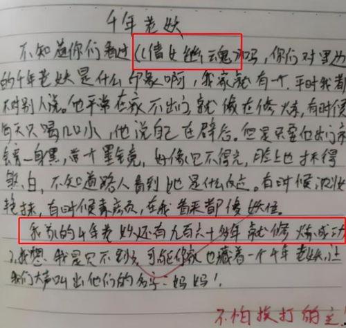 吃瓜作文600字,一场关于吃瓜的作文盛宴