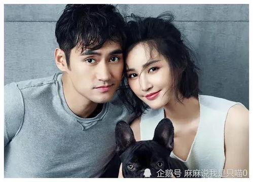 娱乐圈吃瓜爆料演员有哪些,揭秘明星背后的故事